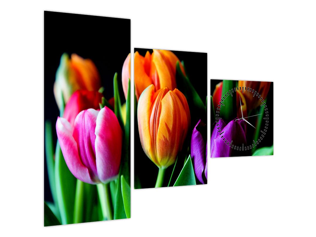 Obraz tulipánů na černém pozadí (s hodinami) (V022664V9070C)