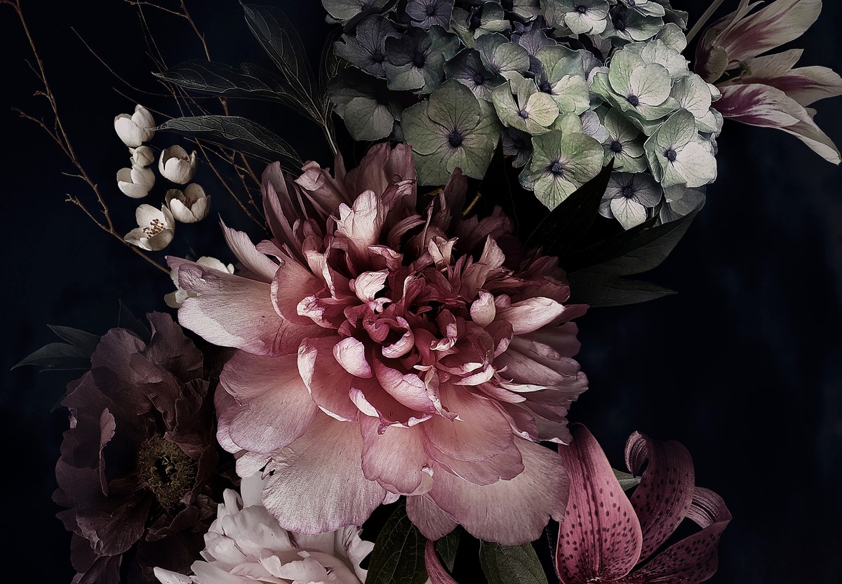 Fototapet - Flori pe fond negru (T100038)