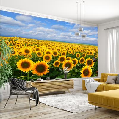 Fototapet - Câmp cu floarea soarelui