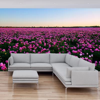 Fotobehang - Weiland met paarse tulpen