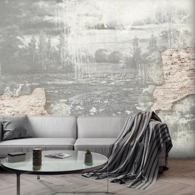 Fotobehang - Weiland in een betonnen muur - zwart-wit