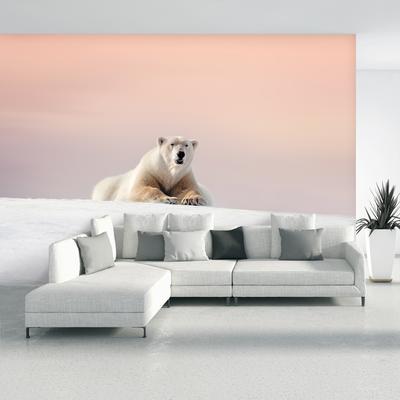 Fototapeta - Lední medvěd