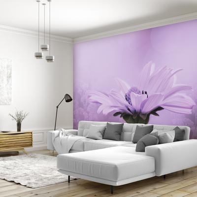 Fototapeta - Vijoličen cvet